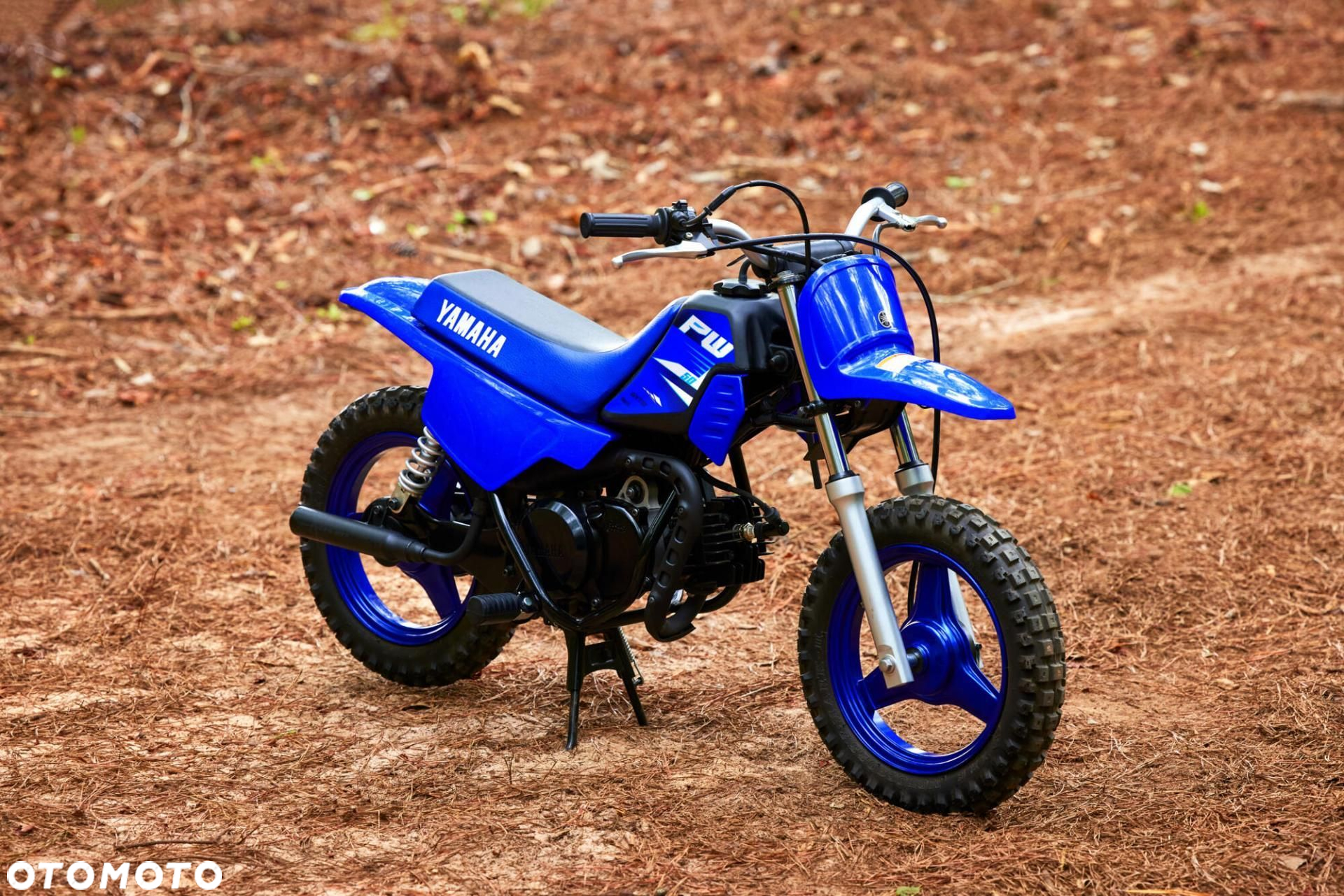 Yamaha PW