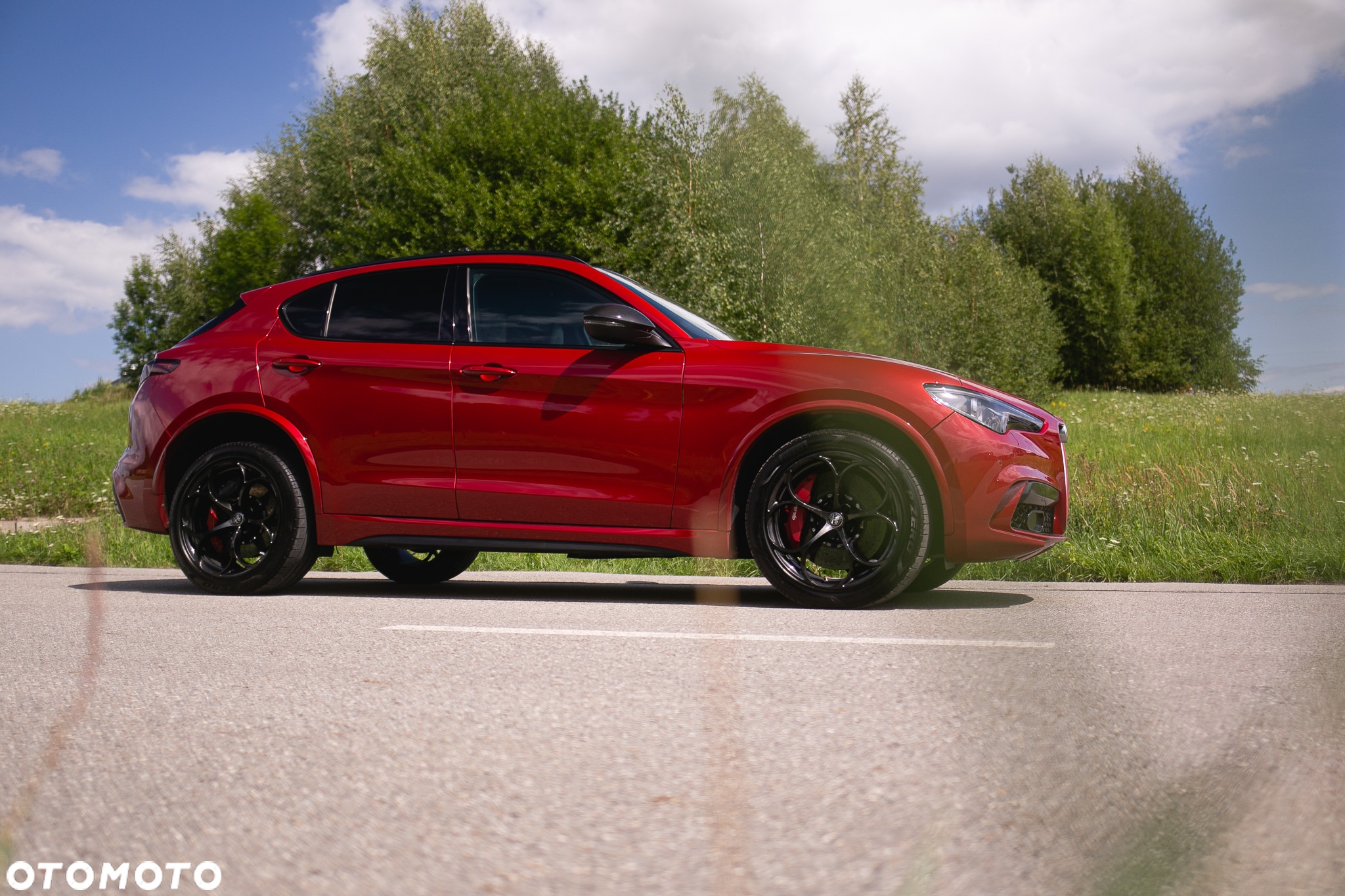 Alfa Romeo Stelvio 2.9 Bi Turbo V6 Quadrifoglio Q4 - 6