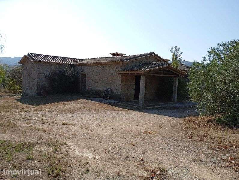 Quinta com 3 casas, vinha, olival e água em abundância, inclui recheio - Grande imagem: 3/12