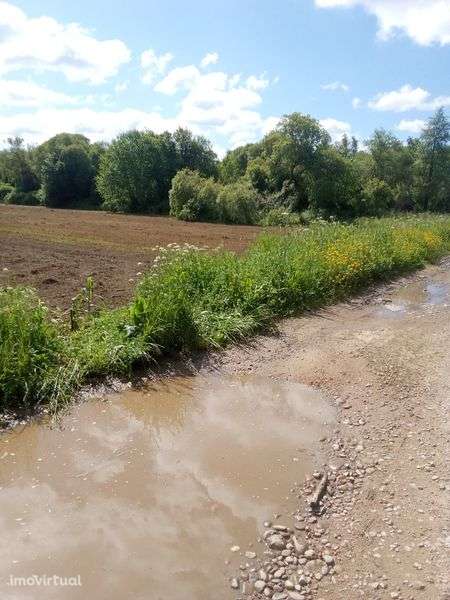 Terreno agrícola - Grande imagem: 3/5