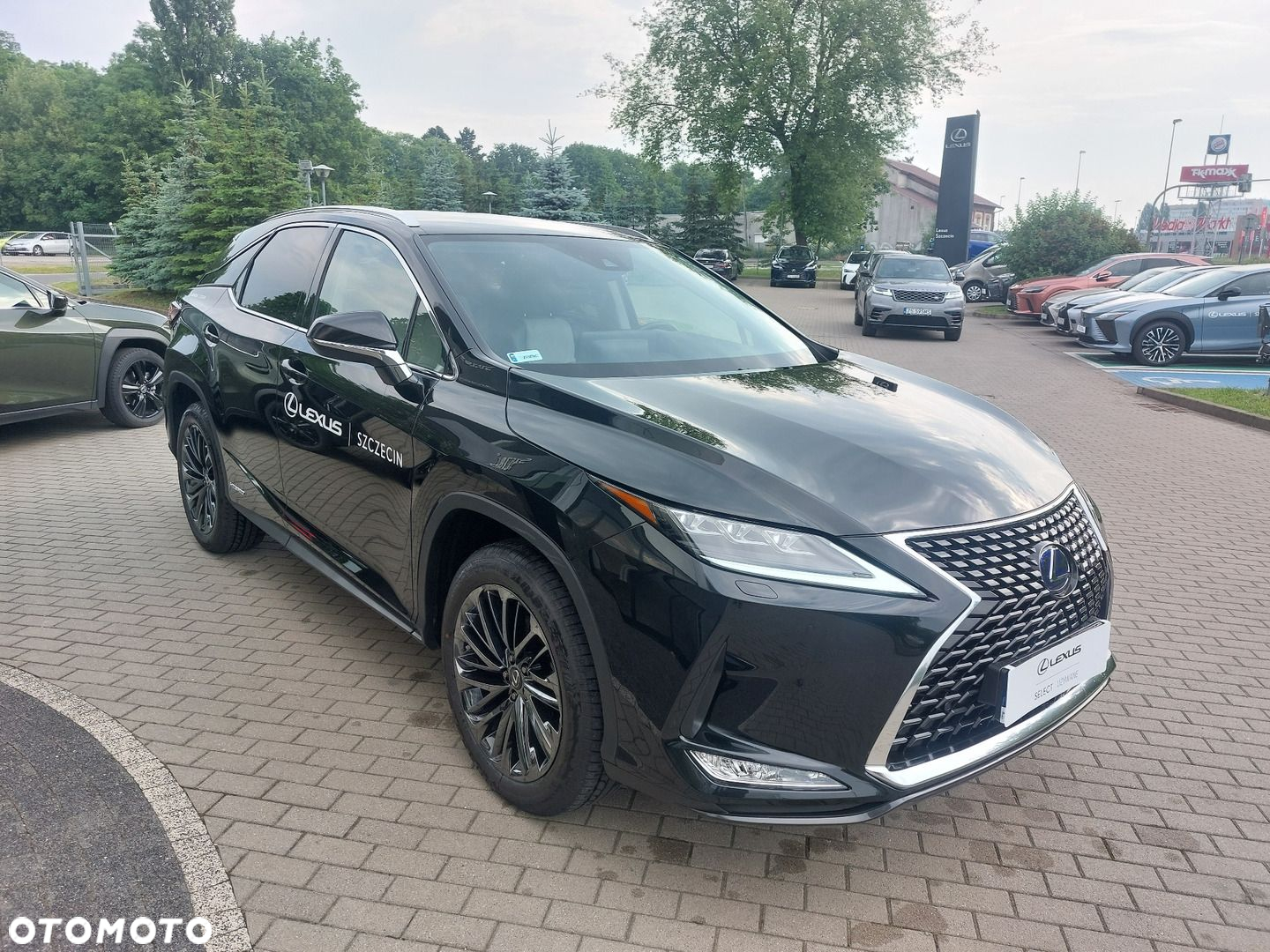 Lexus RX 450h F-Impression - 6