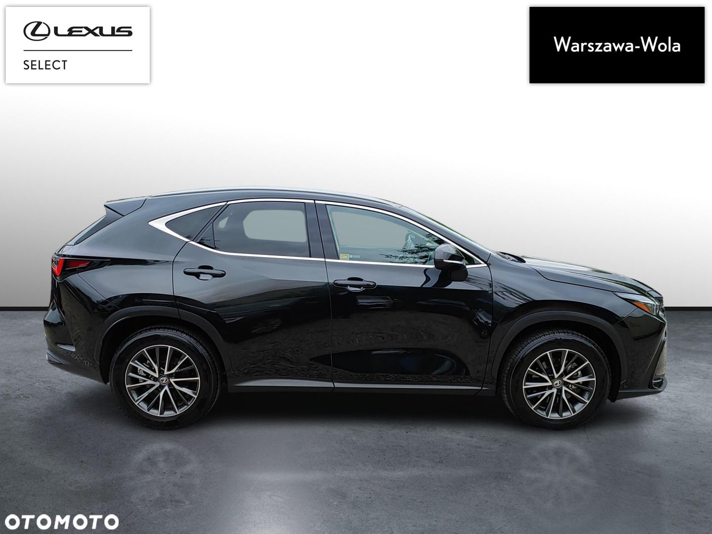Lexus NX - 5