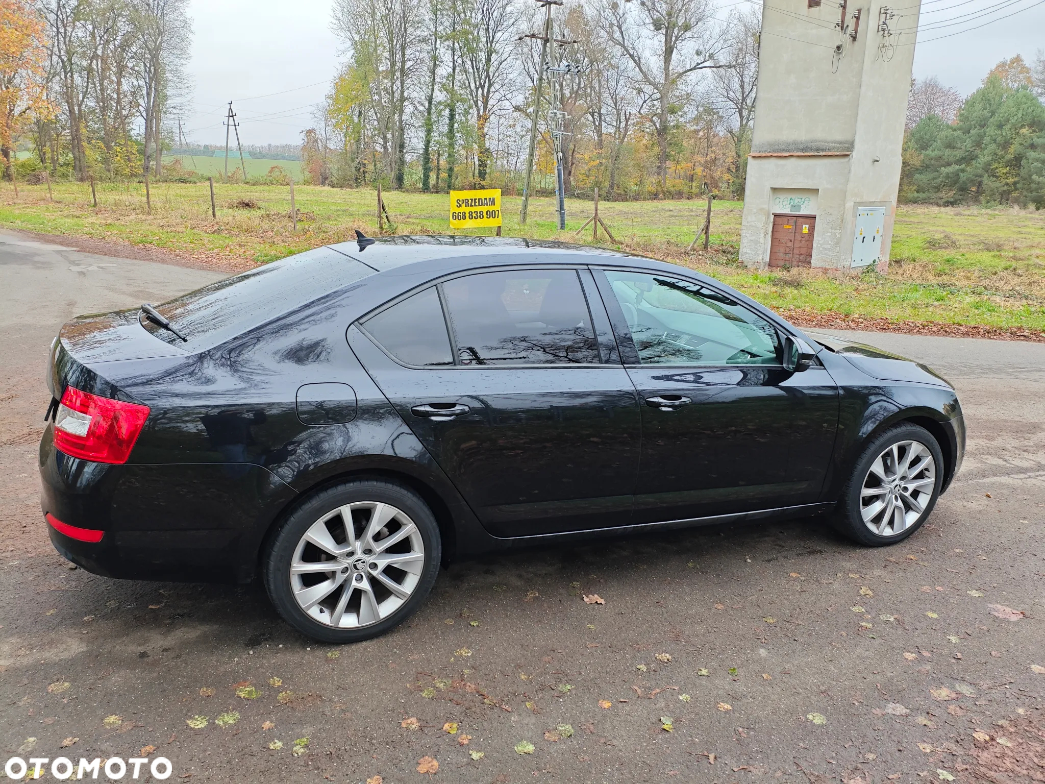 Skoda Octavia 2.0 TDI Ambition DSG - 11