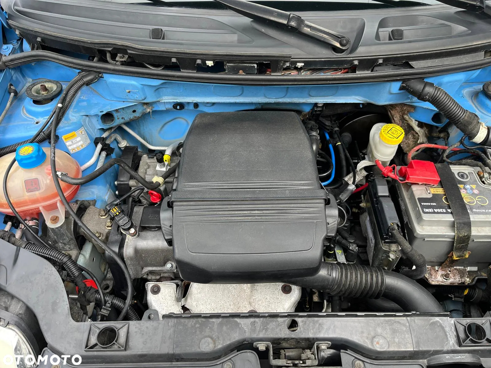 Fiat Panda 1.1 - 12
