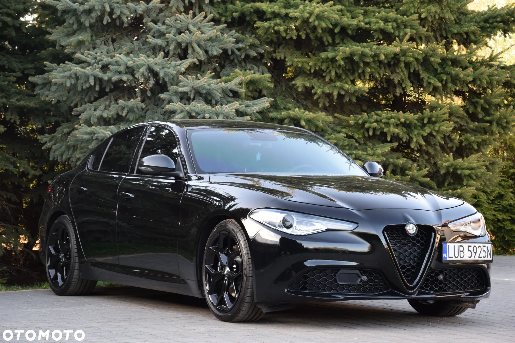 Alfa Romeo Giulia 2.0 Turbo 16V AT8 Veloce - 1