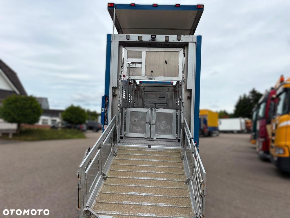 Volvo FH 500 GLOBETROTTER XL 6x2 | MENKE 3-POZIOMY | KOMPLETNY ZESTAW DO TRANSPORTU ZWIERZĄT - 10