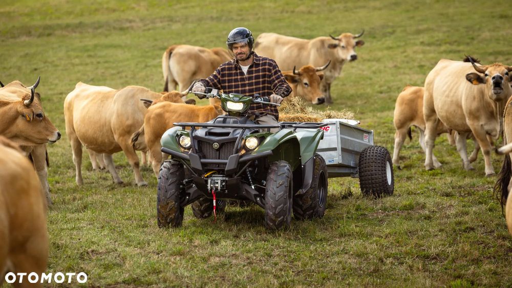 Yamaha Kodiak - 3