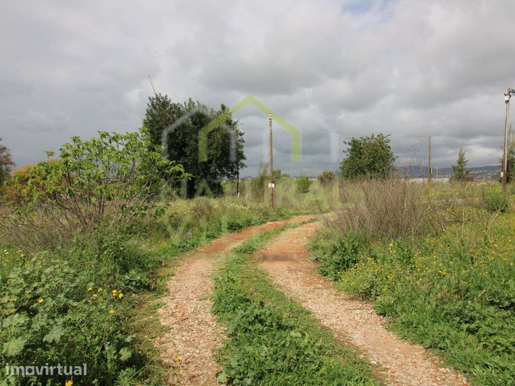 Terreno com Viabilidade Construtiva, Conceição de Faro - Grande imagem: 3/8
