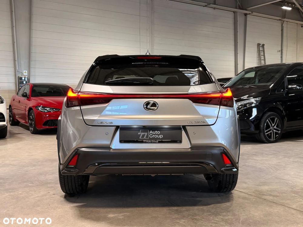 Lexus UX 250h GPF F Sport Design+ 2WD - 10
