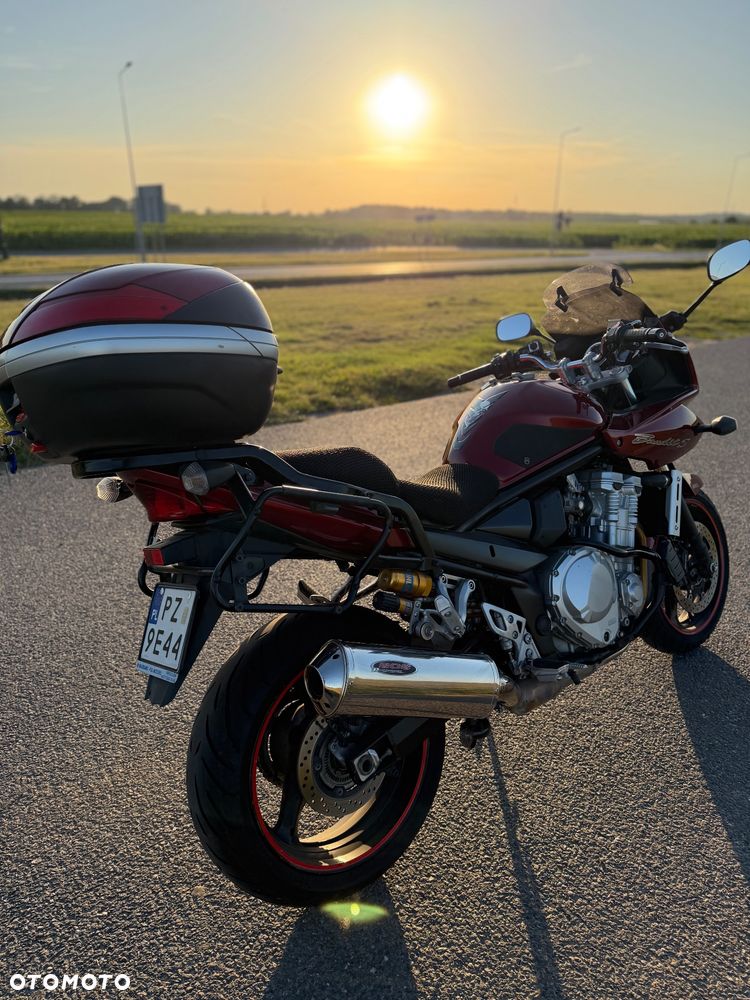 Suzuki Bandit - 5