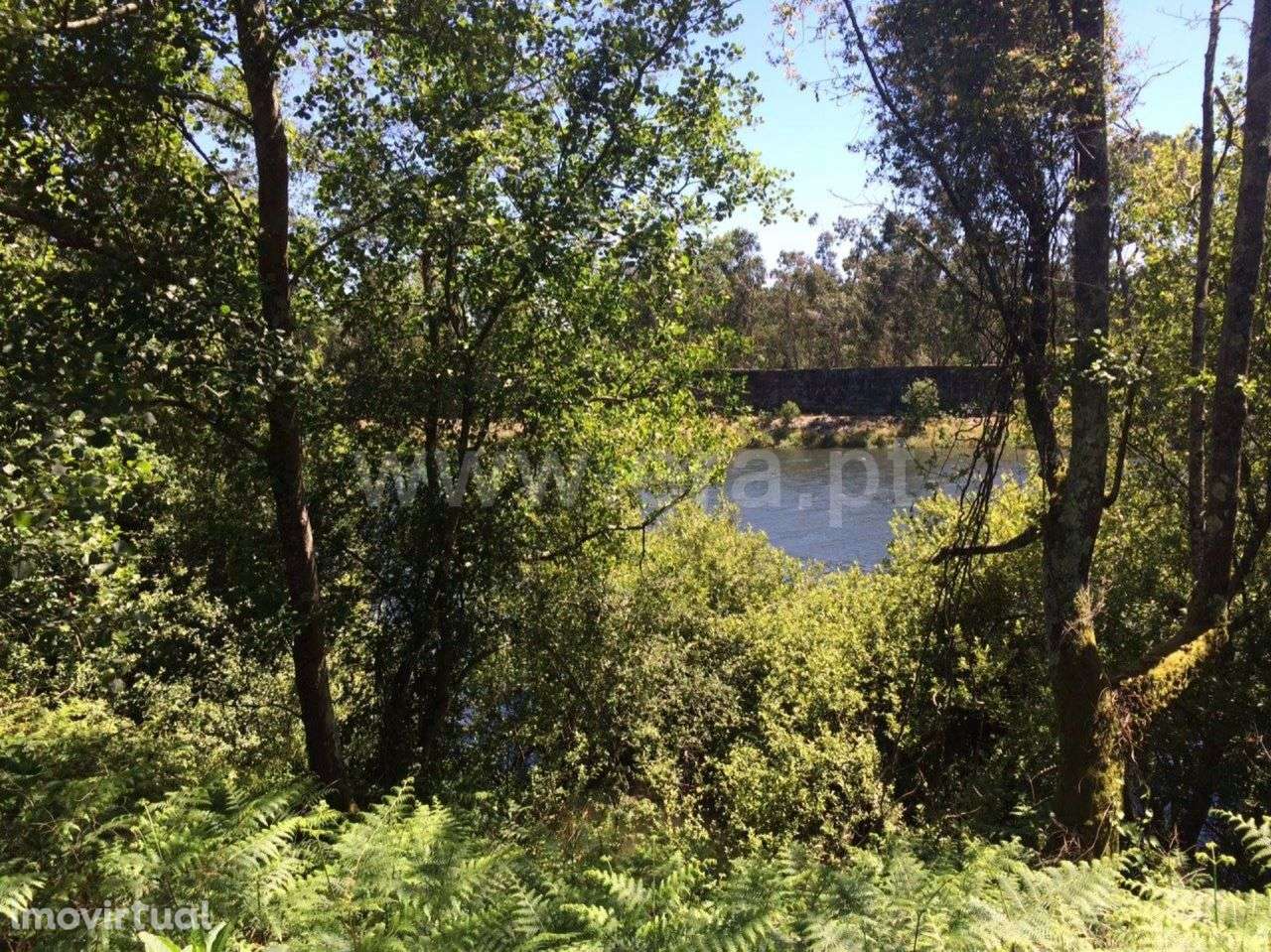 Terreno rústico na margem rio Cávado, Esposende - Grande imagem: 3/7