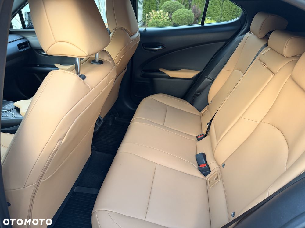 Lexus UX - 10