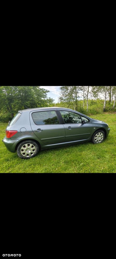 Peugeot 307 - 5