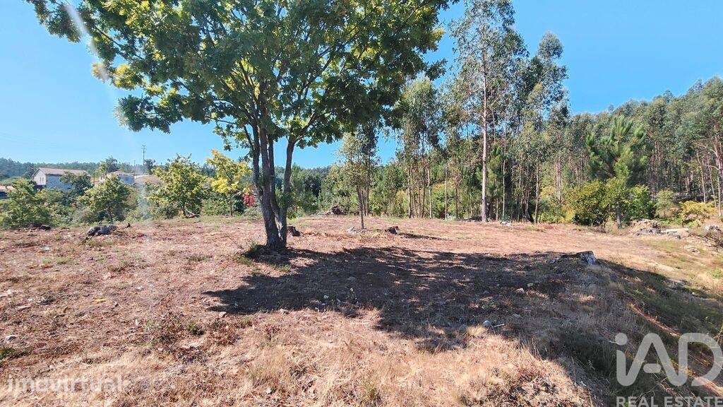 Terreno em Vila Facaia - Grande imagem: 4/15
