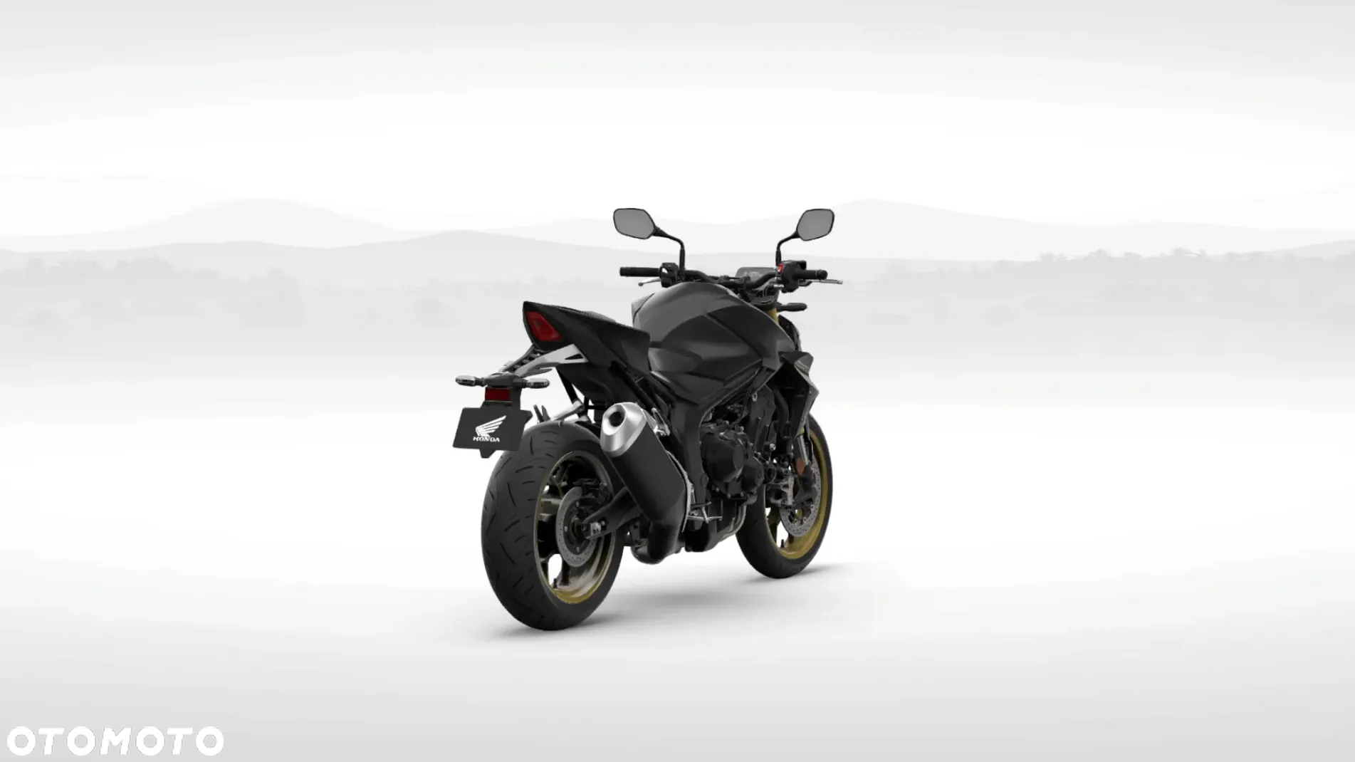 Honda Hornet - 5