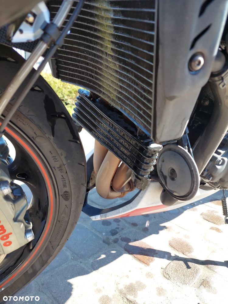 Triumph Speed Triple - 13