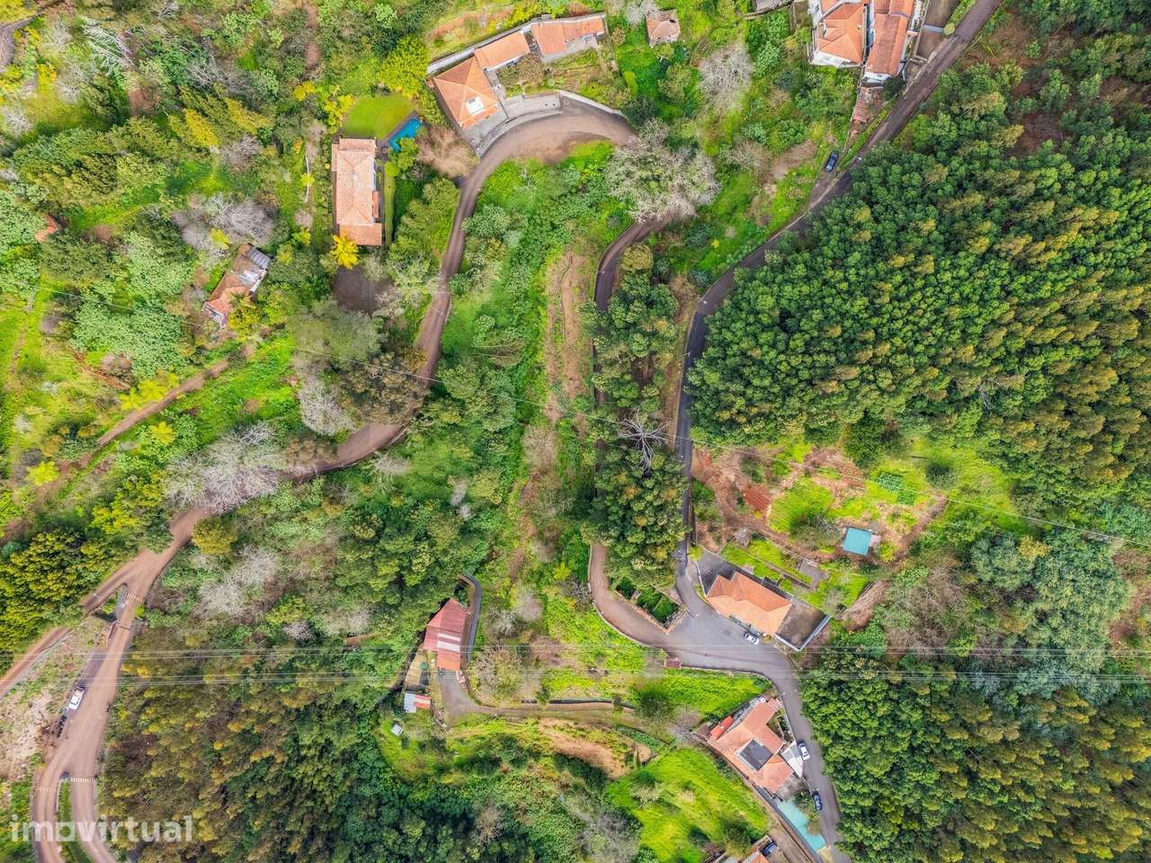 Terreno de 4500m2 na Choupana (Santa Maria Maior) - Grande imagem: 3/18