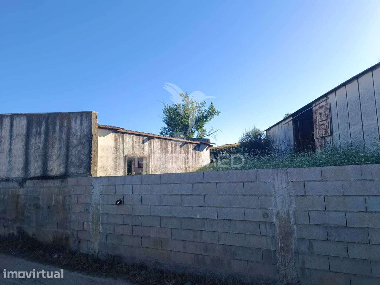 Armazém com 938,43 M2 em São Lourenço de Mamporcão - Grande imagem: 2/9