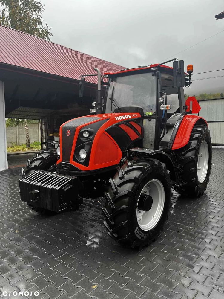Ursus ursus c-3110 - 1