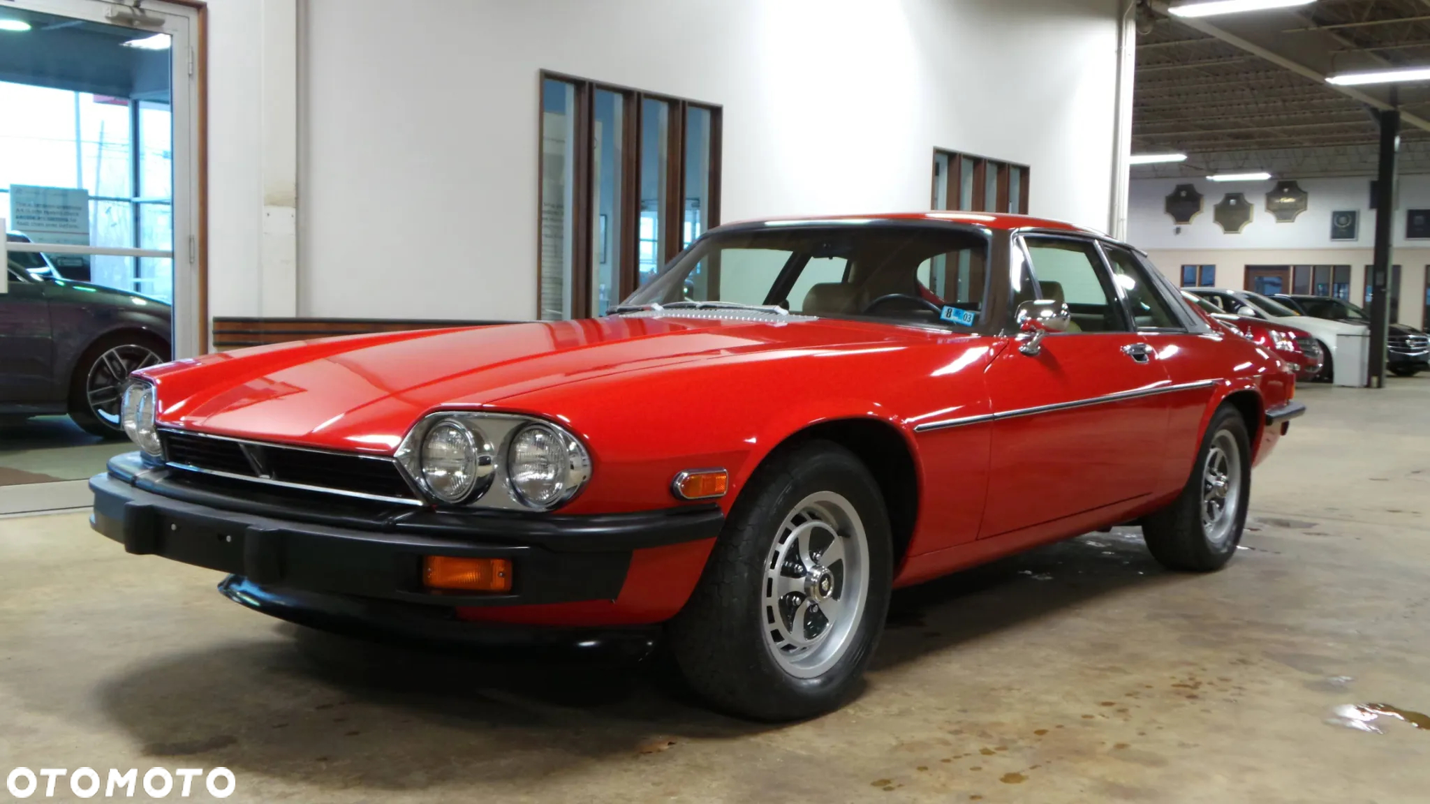 Jaguar XJS - 6