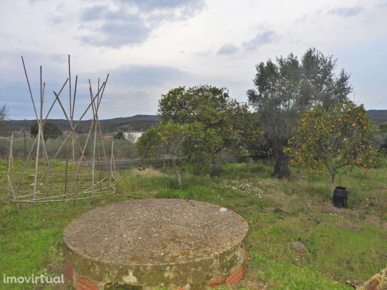 Terreno para Construção - Ulme - Grande imagem: 4/8