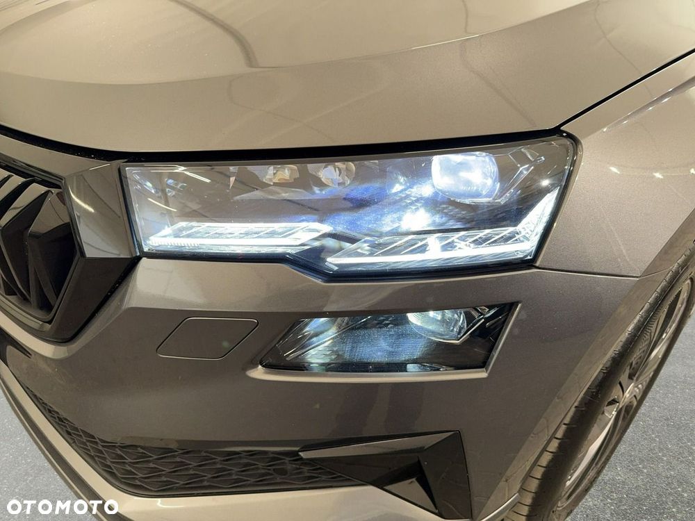 Skoda Karoq - 10
