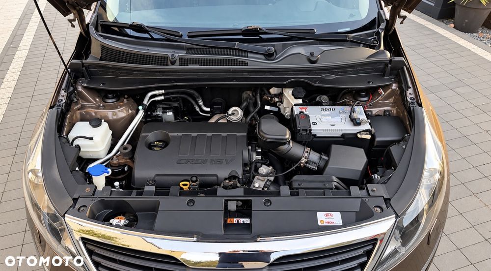 Kia Sportage - 11