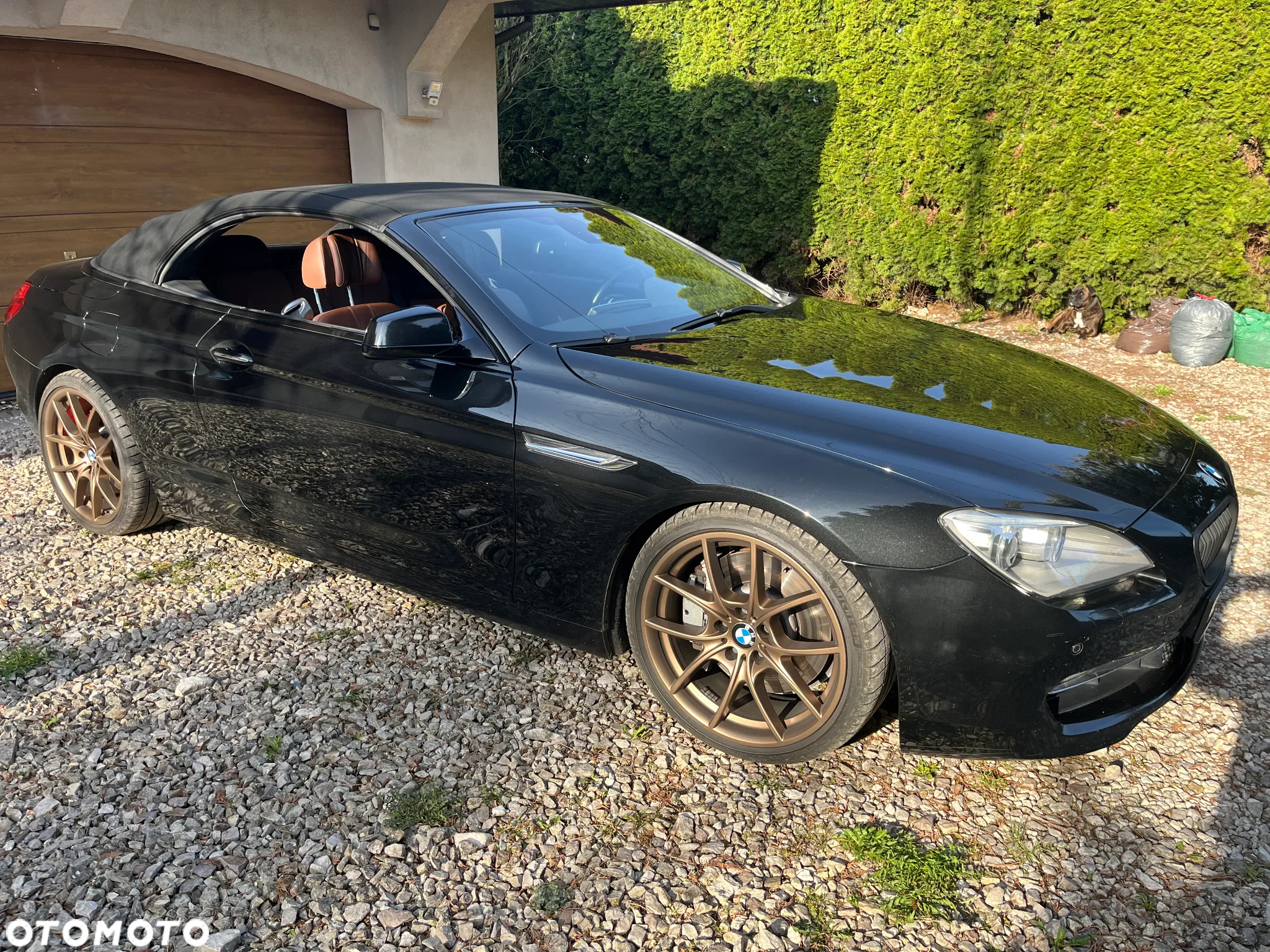 BMW Seria 6 650i Cabrio - 5