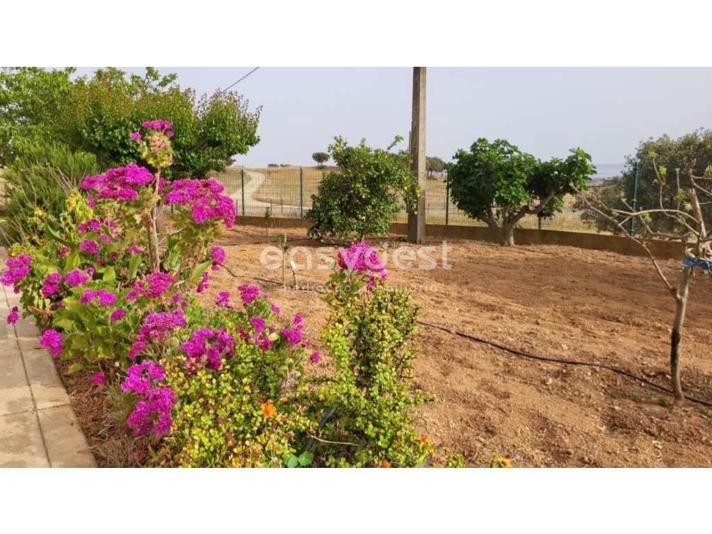 Monte Alentejano com 4 quartos localizado na freguesia de Ourique - Grande imagem: 4/19