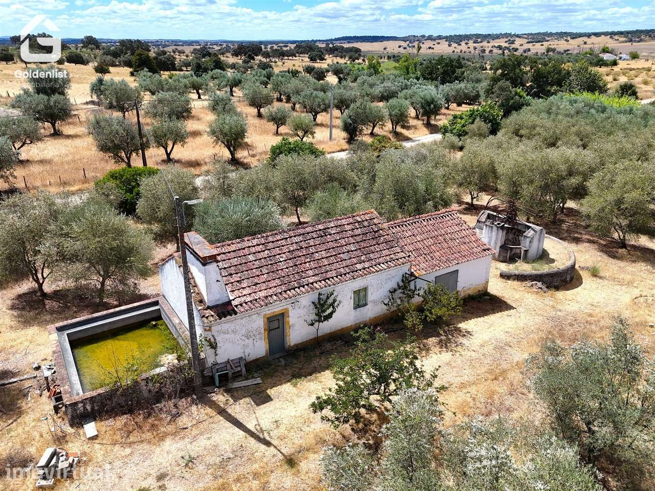 Quinta T1 Venda em Benavila e Valongo,Avis - Grande imagem: 5/41