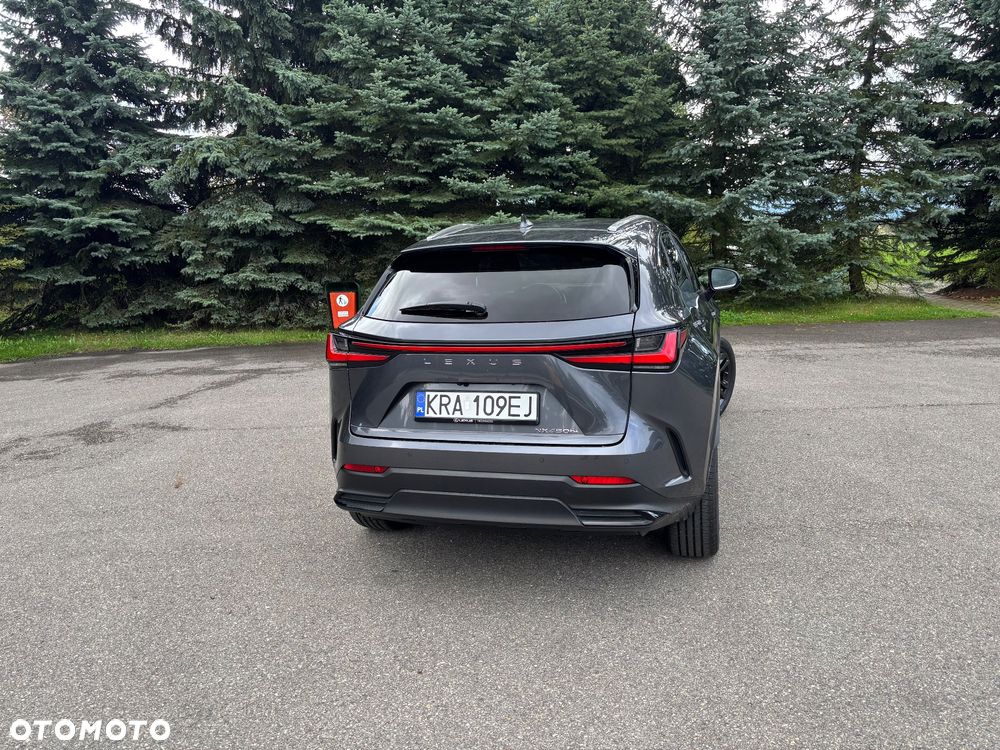 Lexus NX 450h+ Prestige AWD - 4