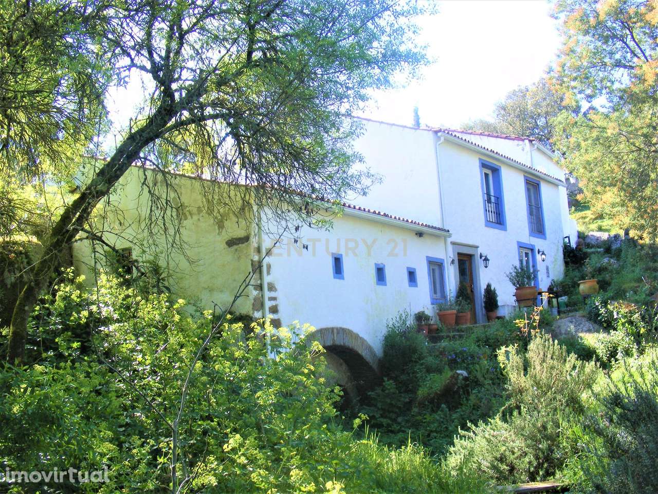 Quinta Típica Alentejana, Licença de Turismo Rural, Arrendamento, Arra - Grande imagem: 2/60