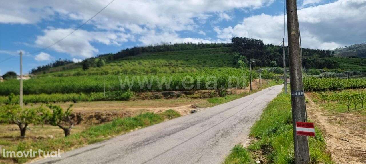 Quinta T1 / Fundão, Donas - Grande imagem: 2/2