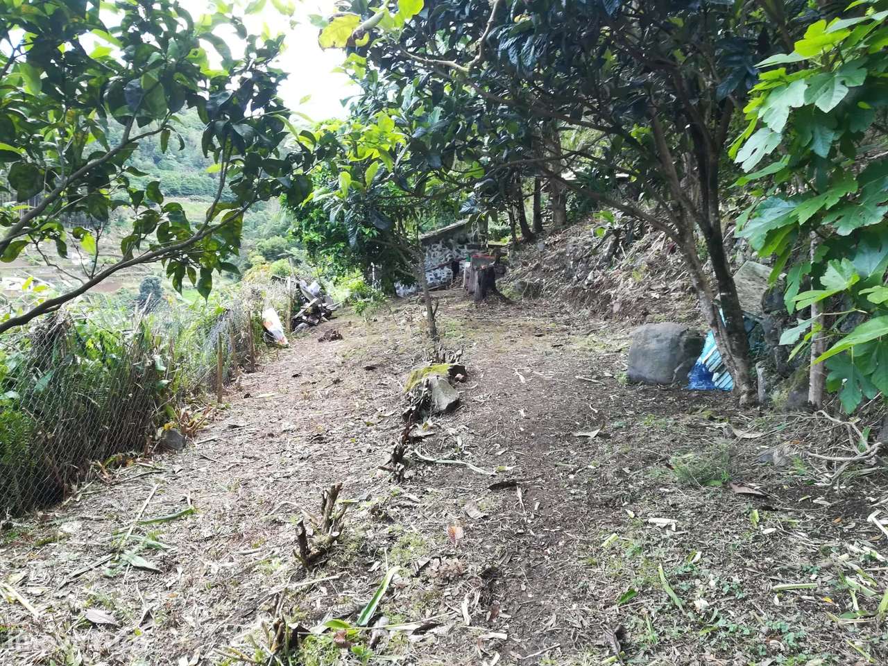 Terreno rústico  próximo da Ribeira do Guilherme - Grande imagem: 2/6