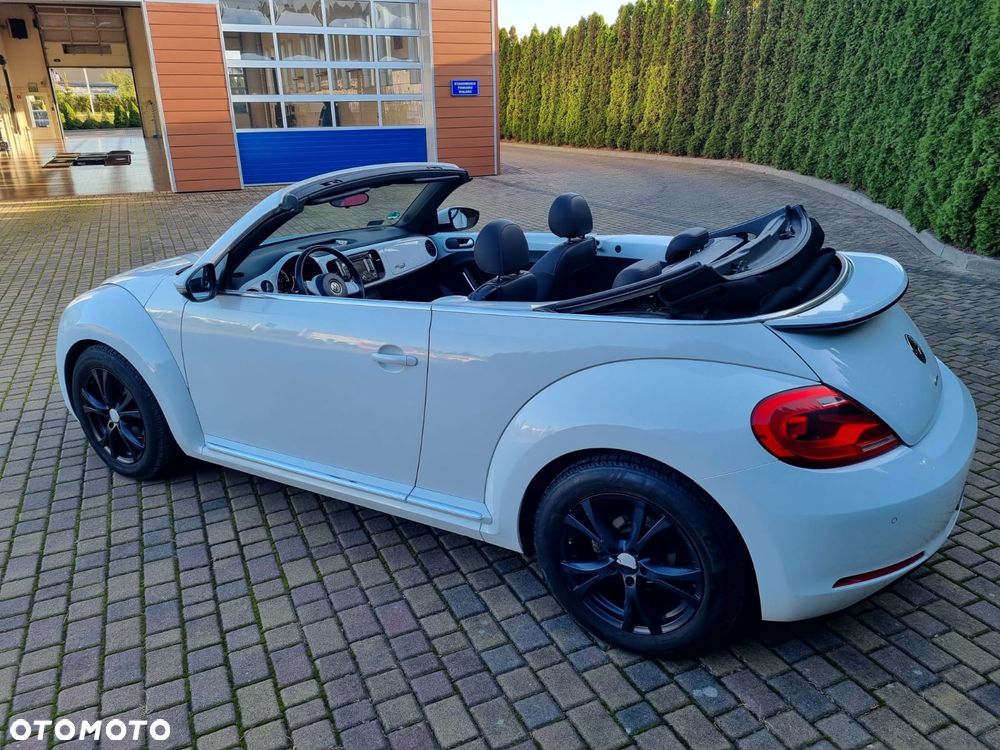 Volkswagen Beetle - 24