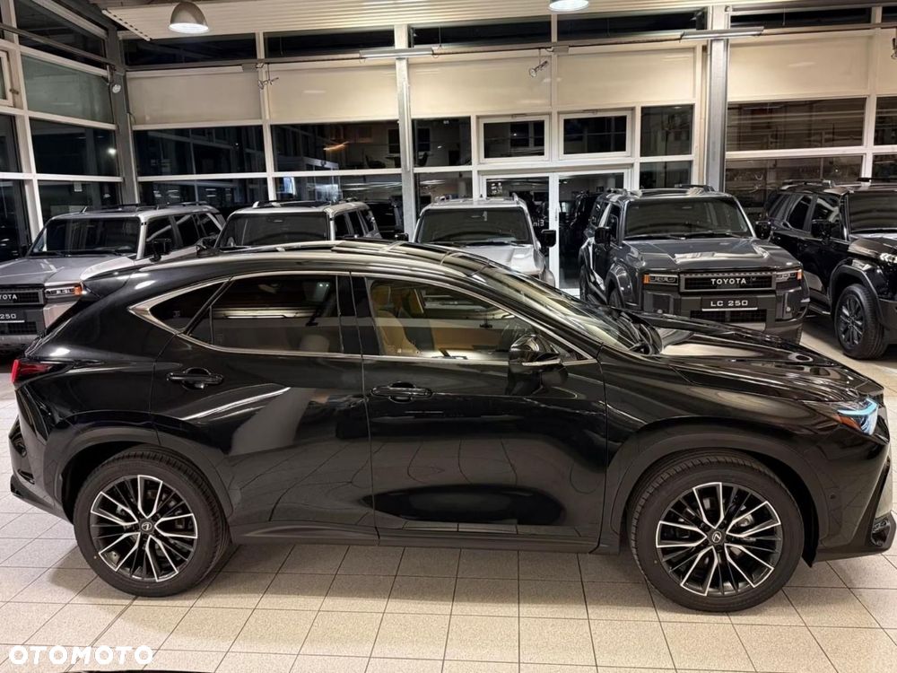 Lexus NX - 6