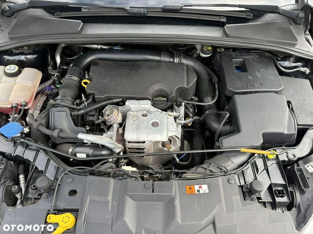 Ford Focus - 25