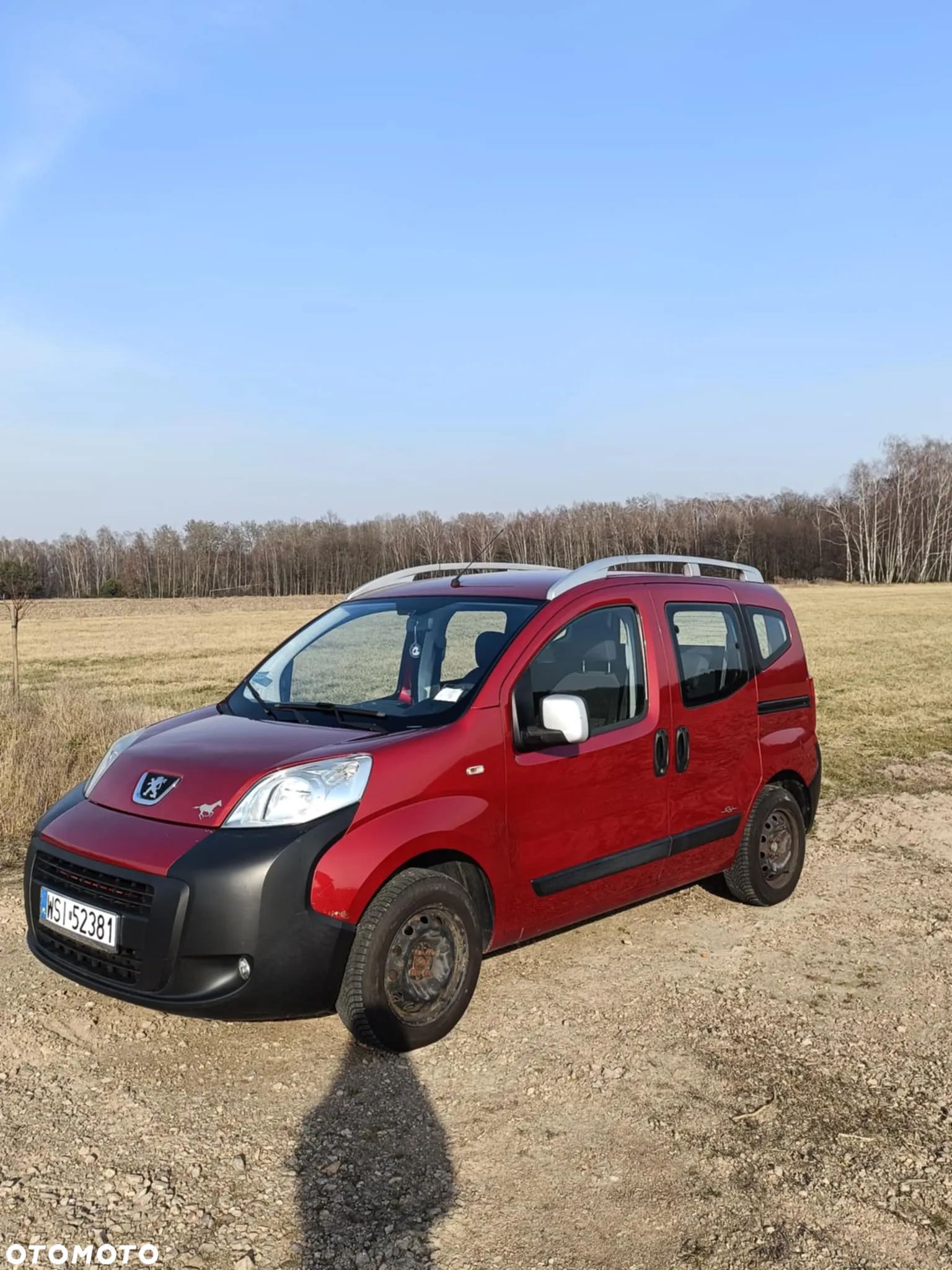 Peugeot Bipper Tepee 1.4 Presence - 1