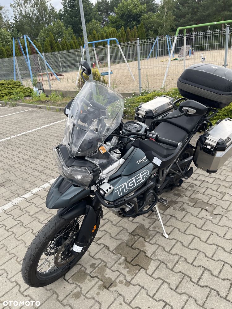 Triumph Tiger - 5
