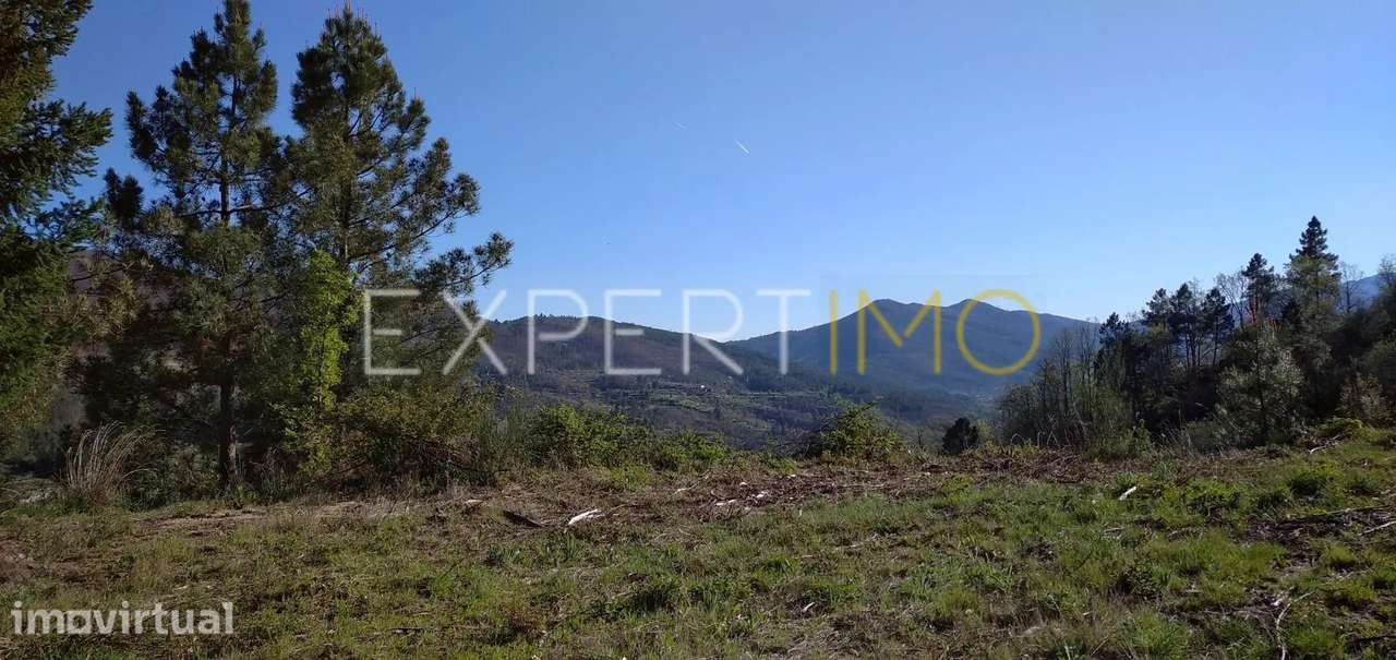 Quinta serra da estrela, terreno junto ao núcleo urbano - Guarda - Grande imagem: 3/44