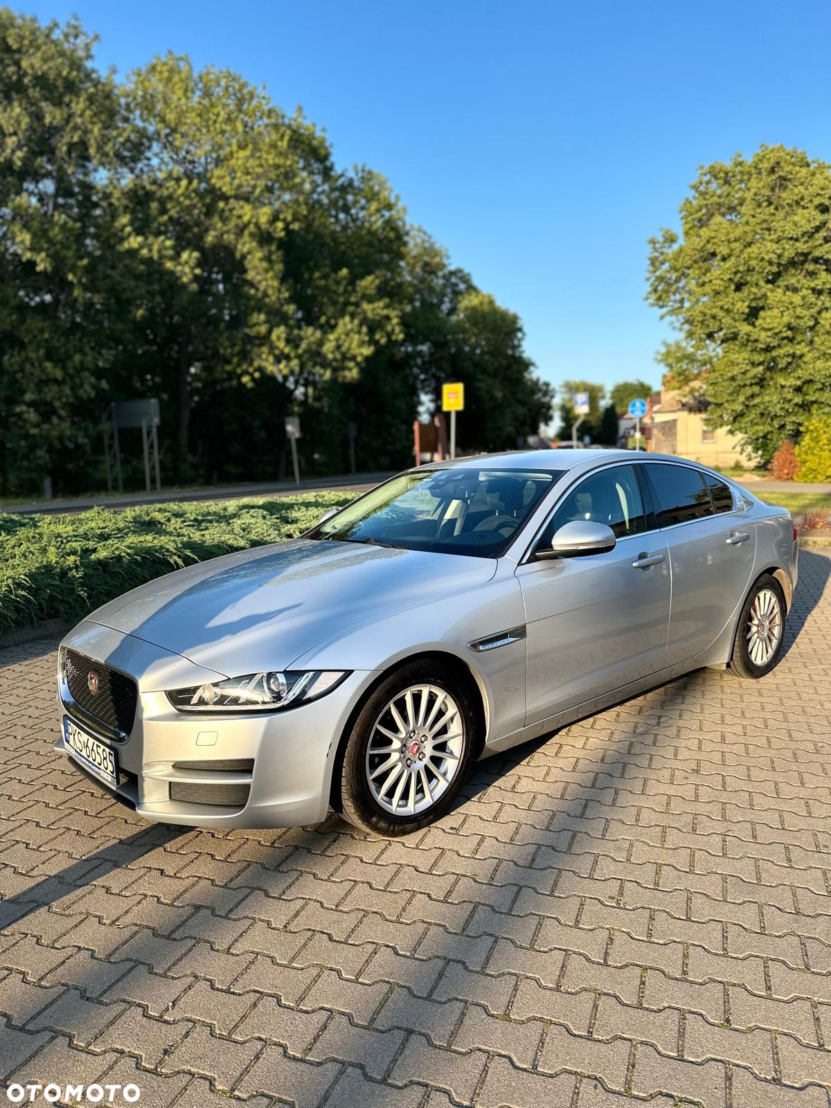 Jaguar XE E-Performance Pure - 19