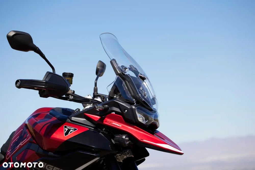 Triumph Tiger - 19