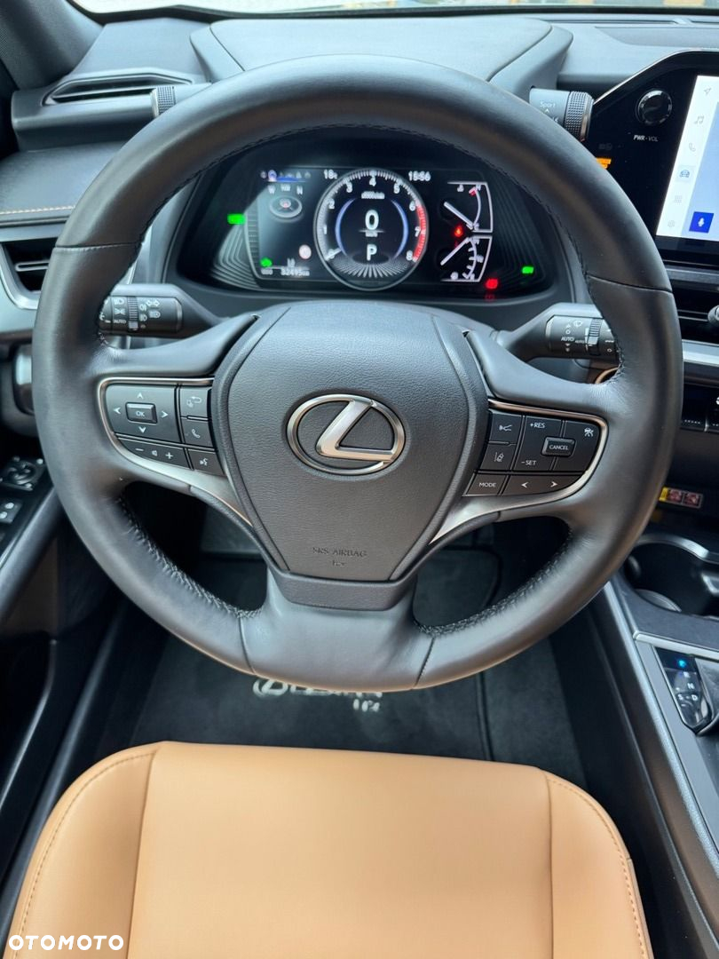 Lexus UX 250h GPF F Sport Design 2WD - 10