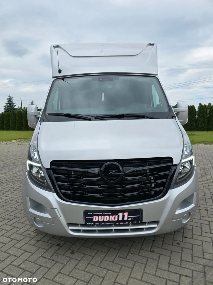 Opel Movano-Koniowóz - 7