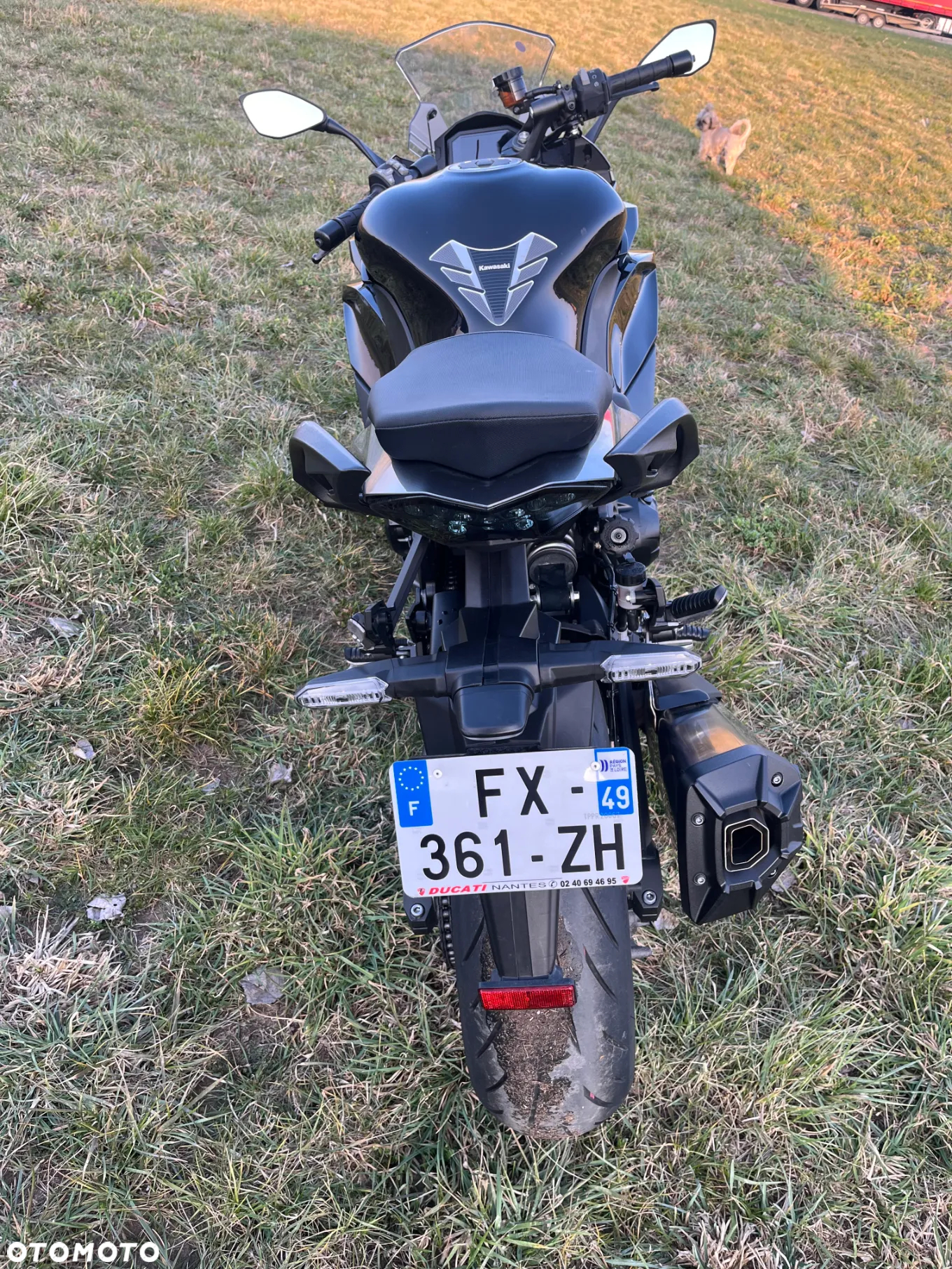 Kawasaki Ninja 1000 SX - 6