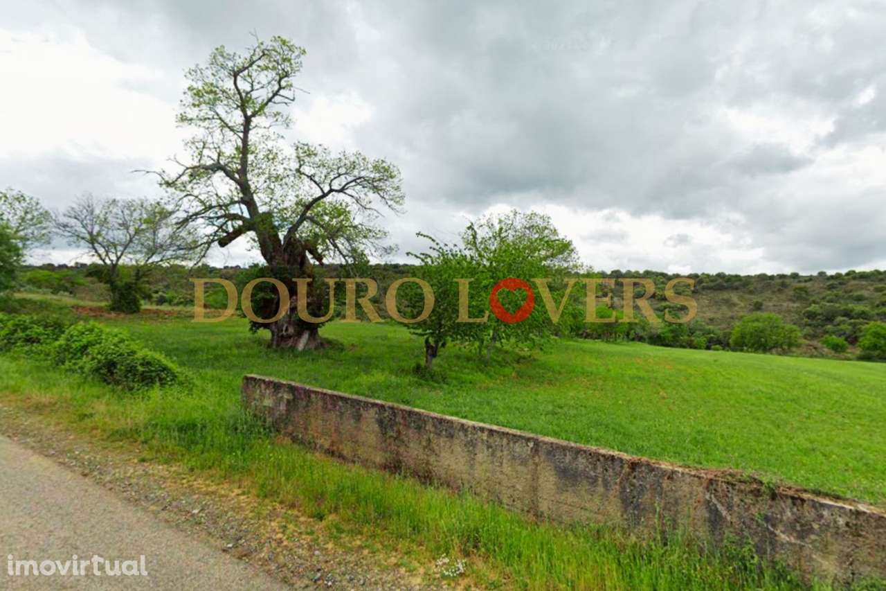 Terreno Agrícola para venda em Conlelas, Bragança - Grande imagem: 3/9