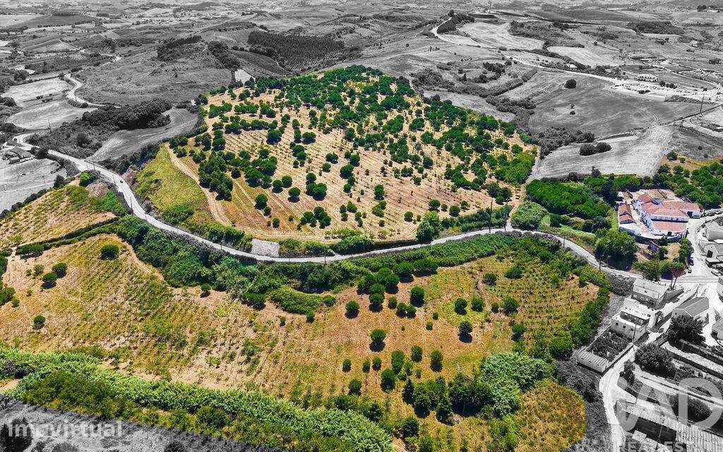 Quinta rural em Enxara do Bispo, Gradil e Vila Franca do Rosário - Grande imagem: 4/40