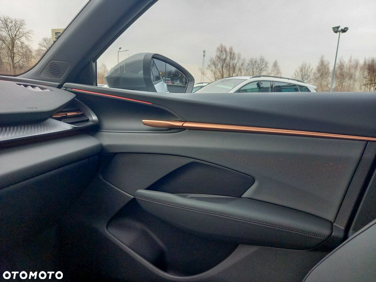 Cupra Terramar - 10