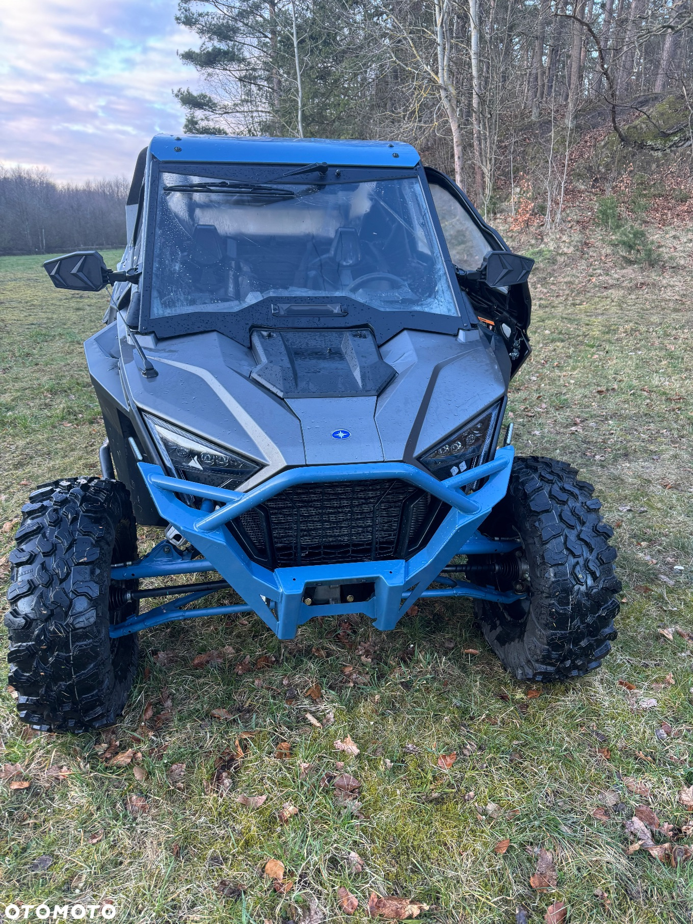 Polaris RZR