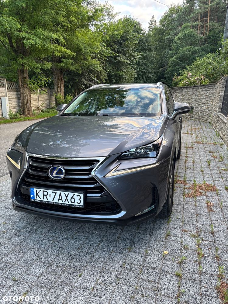 Lexus NX 300h Elegance 2WD - 3